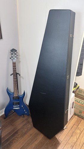 Rich bich guitar - bich,