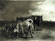 BŒUFS à la CHARRUE (de