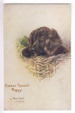 CPA  ANIMAL FANTAISIE -  CHIEN DOG CHIOT PUPPY COCKER SPANIEL WATSON 1910  ~C16