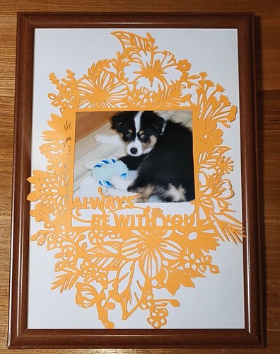 Tapis cadre papier - tapis, en