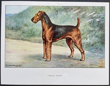 Airedale terrier Reproduction