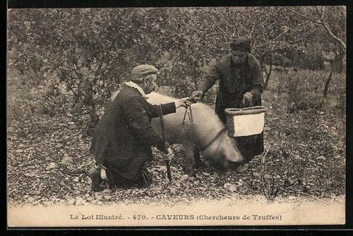 Caveurs chercheurs de - caveurs,,
