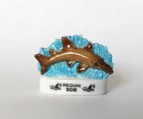 Cyb fève atlas requin scie - requin,
