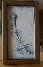 planche botanique, bas-relief