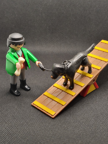 Playmobil personnage - -,