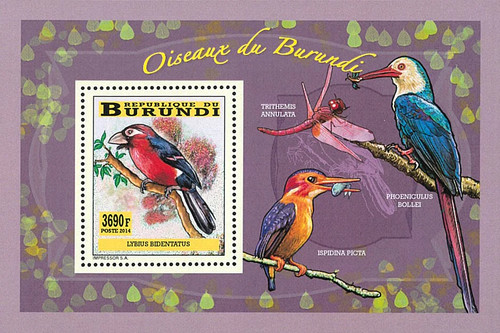 Stamps burundi 2014 imperf - stamps,