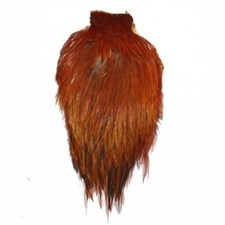 Plume de cou de coq marron