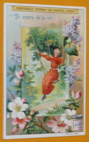 Chromo 1901 liebig - 1901,