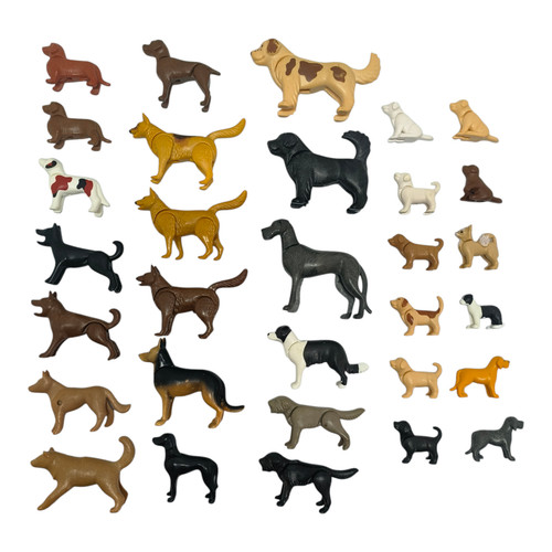 Sympa chien chiot aux choix - chiot,