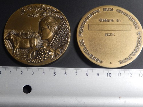Medaille assemblee permanente - medaille,