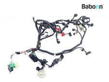 Faisceau de câblage Honda ST