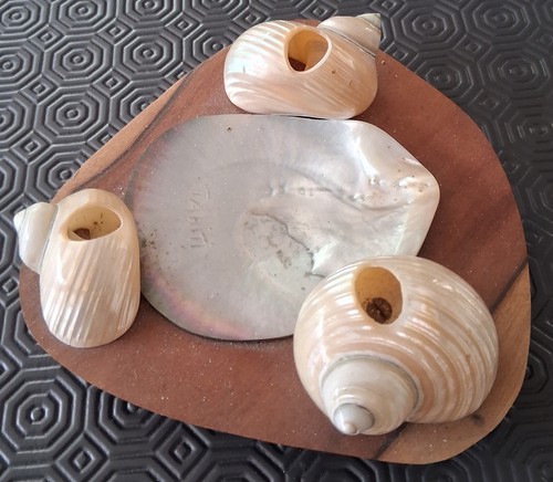 Ancien cendrier coquillage - en,