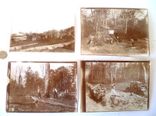 4 ANCIENNES PHOTOS VERS  1890 BUCHERON BOIS LE ROI FORET DE FONTAINEBLEAU (1)