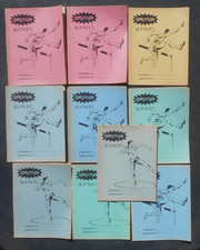 Lot de 10 Cahiers Ecolier