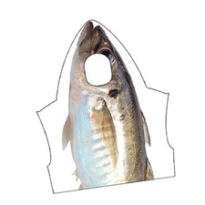 Costume de poisson cosplay