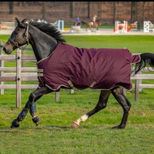 Horseware Amigo Hero Ripstop