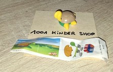 MARAJA ART. 315 TORTUE SCHILDKRÖTE TURTLE VARIANTE + BPZ