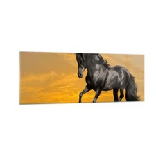 Impression sur Verre 140x50cm Tableaux Animaux cheval course à pied prairie