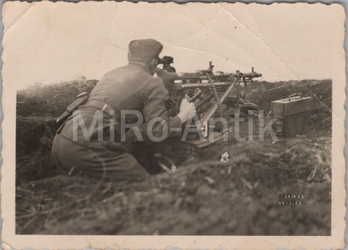 Photo r 504 - 5.,