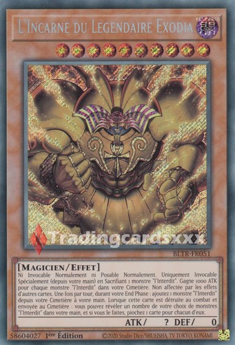L incarné du - yu-gi-oh!, l'incarné