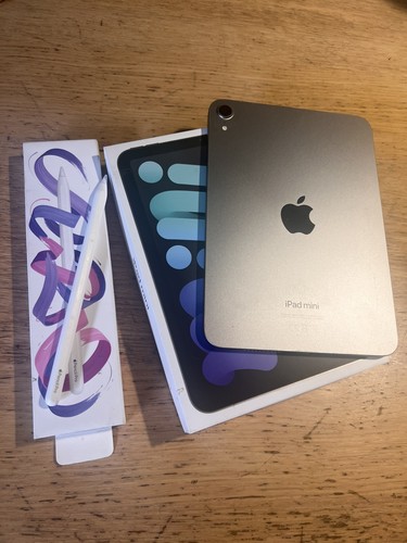 Ipad mini 256go - mini,