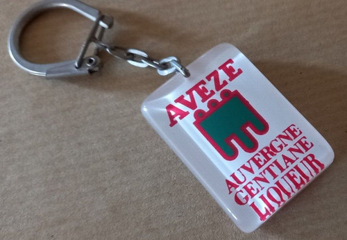 Porte clefs inclusion - porte,