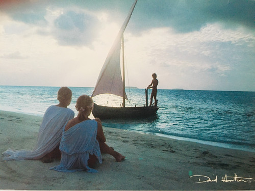 Carte postale david - ,