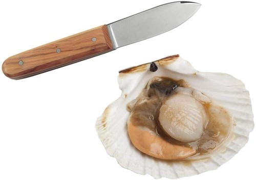 Couteau coquilles - ,