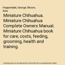 Miniature Chihuahua. Miniature