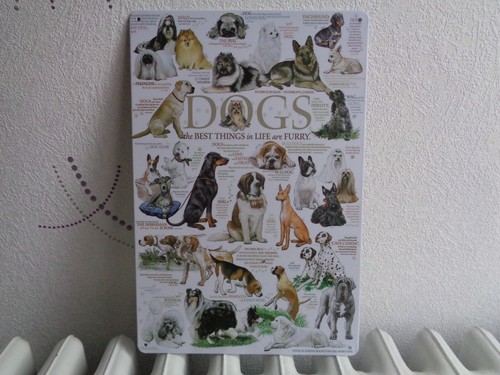 Tole metal dogs chien 30 - dogs,