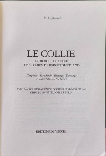 Collie le berger - le,