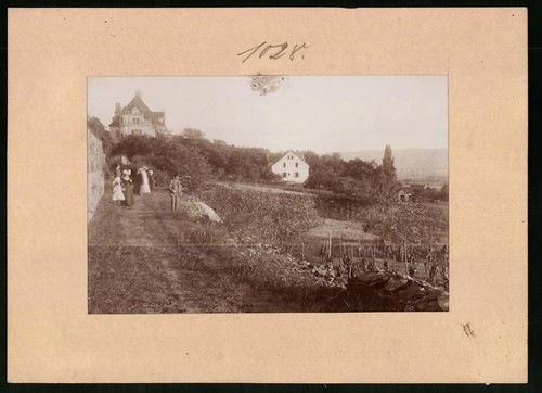 Vue zitzschewig - vue, zitzschewig,