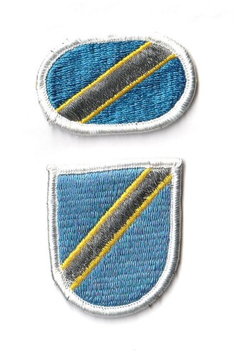 Oval beret flash - 56th, troop