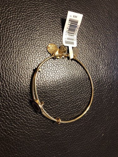 Alex and ani team usa - and,