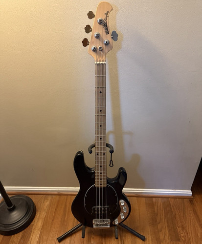 2006 ernie ball - ernie, man