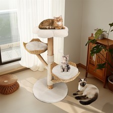 🐈🐾Arbre à chat bois massif 110 cm Bingopaw griffoir stable design moderne NEUF