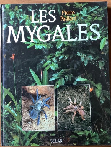 entomologie,mygales,insectes,p