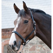 Harnais En Cuir Horse Guard -