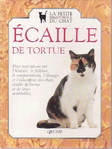 Chat écaille tortue - chat,