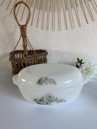 Ancienne cocotte plat - 20⚜️,