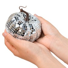 Boule Disco Miroir Argentée