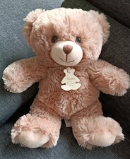 🌟HISTOIRE D'OURS 30cm