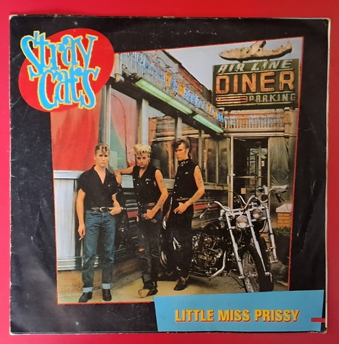 Stray cats little miss - cats, "little