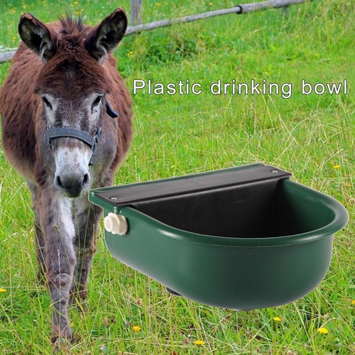 Bovins cheval abreuvoir bol - abreuvoir,
