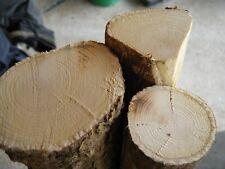 3 rondins bois hibiscus,ébénisterie,tournage,stylos coutellerie RARE