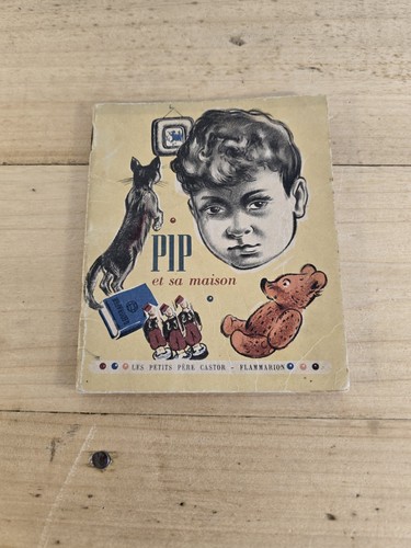 Livre enfant pip maison - pip, sa