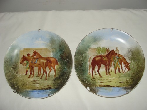 Superbe paire assiettes - superbe,