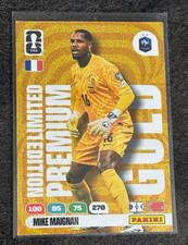 Panini FIFA World Cup