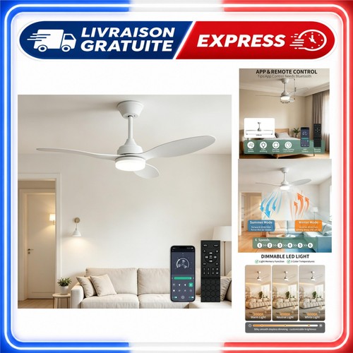 Ventilateur plafond avec - ventilateur,