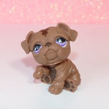 authentic littlest LPS petshop